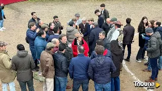 Suspendido el festival taurino de Valero