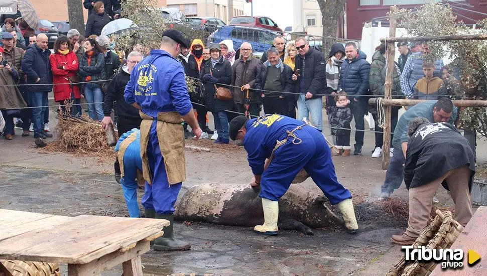 Programa de las XXXIX jornadas de la Matanza Típica Guijuelo