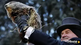 La marmota Phil pronostica un invierno más largo