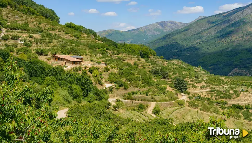 Escapadas a la Naturaleza en Salamanca: rincones que sorprenden