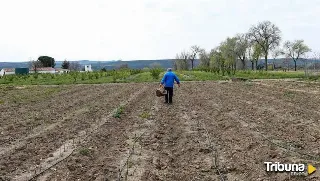 Abonar las tierras costará 20 millones de euros más que el año pasado a los agricultores de Castilla y León