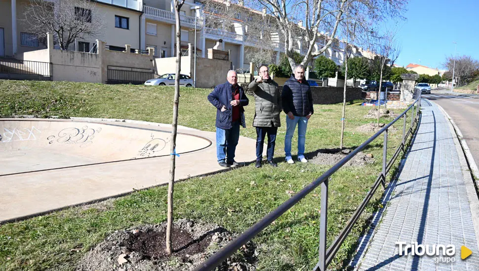 Nueva plantación de árboles en Ciudad Rodrigo para repoblar sus zonas verdes