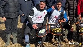 La mejor galga de España: La salmantina 'Morería de Suerte' se proclama campeona Nacional