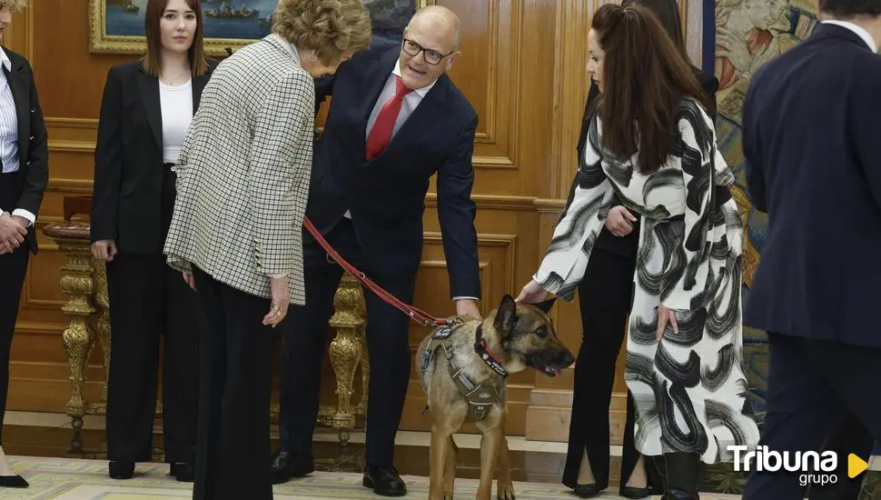 Poppet y Zeus, dos 'héroes' de cuatro patas recibidos en La Zarzuela por la reina Sofía