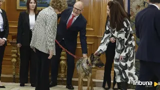 Poppet y Zeus, dos 'héroes' de cuatro patas recibidos en La Zarzuela por la reina Sofía