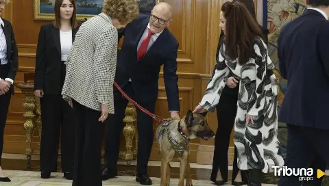 Poppet y Zeus, dos 'héroes' de cuatro patas recibidos en La Zarzuela por la reina Sofía