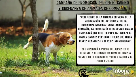 El pueblo de Salamanca que entregará una botella para la limpieza de orines a los propietarios de perros