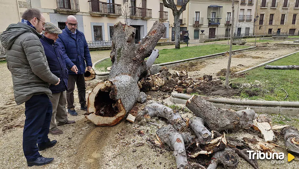 Trabajos para mejorar y acondicionar la plaza de San Salvador de Ciudad Rodrigo