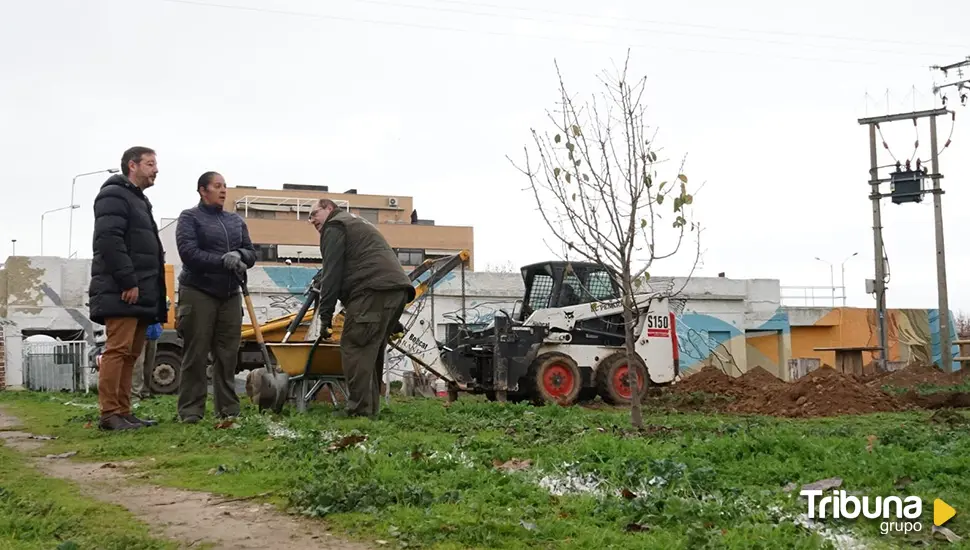 Santa Marta formará a en jardinería a 15 desempleados del municipio