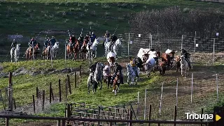 Así se prepara el encierro a caballo del Carnaval del Toro de Ciudad Rodrigo