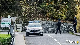 Un muerto y cuatro heridos en un ataque con cuchillo en plena calle en Austria