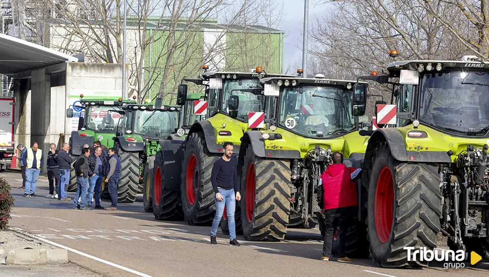 Los agricultores de Salamanca, hartos por el precio del cereal: "La rentabilidad está por los suelos"