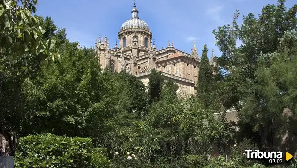 Un hombre cae desde la muralla del Huerto de Calixto y Melibea en Salamanca