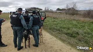 Detenidos tres furtivos en Peñaranda de Bracamonte tras ser sorprendidos cazando ilegalmente en Muñosancho 