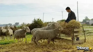 Entregados 2,1 millones de euros para favorecer la incorporación al sector agrario