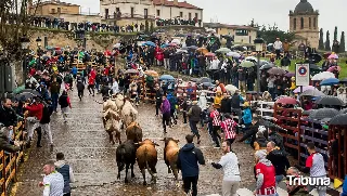 Programa completo del Carnaval del Toro para este martes