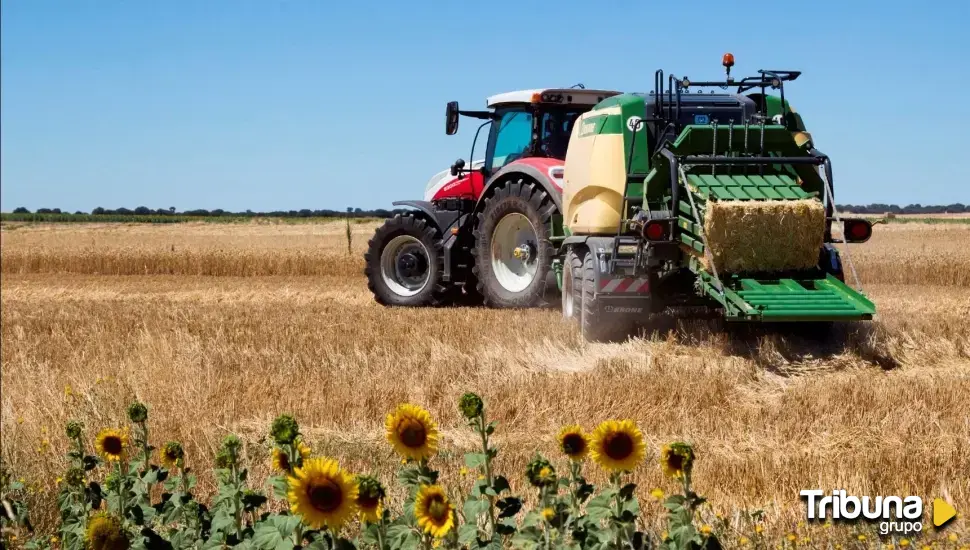 Exigen a Bruselas que "espabile" con los aranceles a los productos del campo y actúe "de una jodida vez"