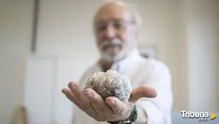 El origen de la vida en la Tierra, 'cocinado' en un laboratorio