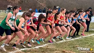 Dos oros y dos bronces, balance de la presencia de la USAL en el campeonato universitario de Campo a Través