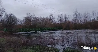 El Tormes se desborda a su paso por este municipio y oculta gran parte de su puente de hierro 