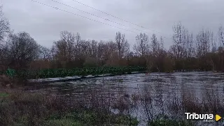 El Tormes se desborda a su paso por este municipio y oculta gran parte de su puente de hierro 