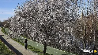 Así será la primavera, estación que llega el día 20, según la Aemet: "no se esperan sorpresas"