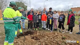 Los niños de Carbajosa colaboran en la plantación de los plátanos de sombra