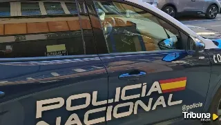 Detenida tras intentar robar a una joven a la que siguió desde un cajero de la avenida Villamayor 