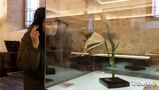 Arrancan en la USAL los talleres y visitas guiadas a la exposición 'Flor en un jardín de sueños'